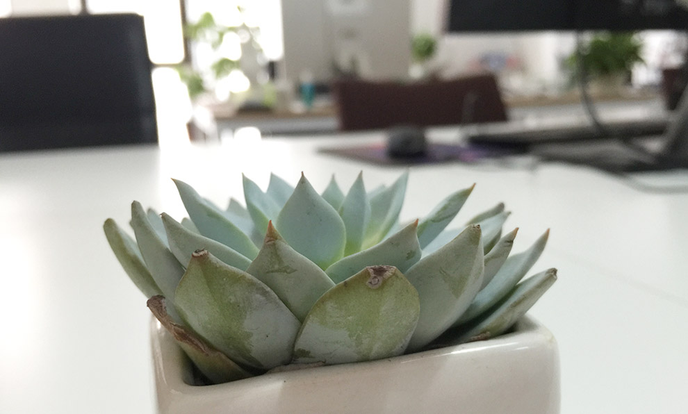 思考 · 執行 · 創造