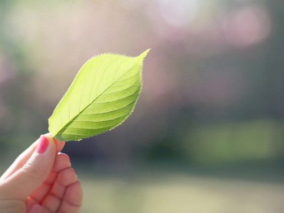 經典感情說說:我若在你心上,情敵三千又何妨1