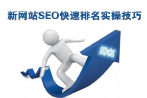 新網(wǎng)站SEO快速排名實操技巧